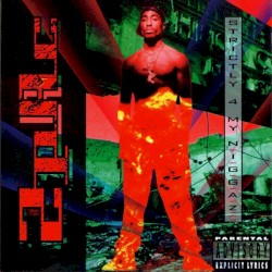 Strictly 4 My N.I.G.G.A.Z…
