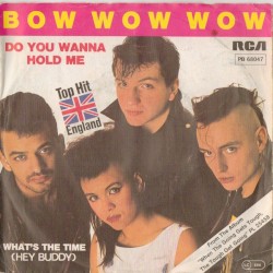 Do You Wanna Hold Me?