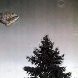 In the Heart of Solitude