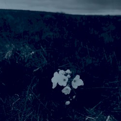 what is it that makes u happy?