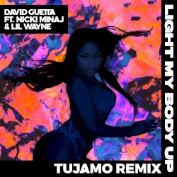 Light My Body Up (Tujamo remix)