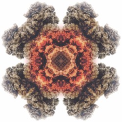 To the Highest Gods We Know (remastered)