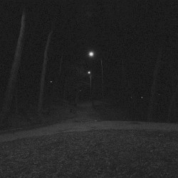 wandering