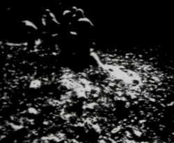 Begotten Chapter IV