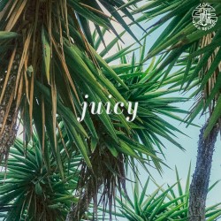 Juicy