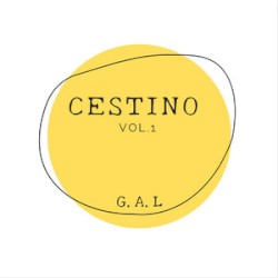 Cestino Vol 1