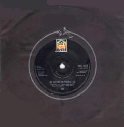 No Future In Your Eyes