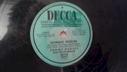 Homing Pigeon (Fly Away, Fly Away, Back Home) / I Got Big Eyes