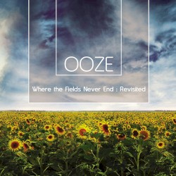 Where The Fields Never End : Revisited