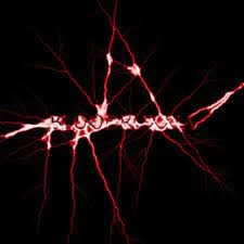 Сучья Тупость