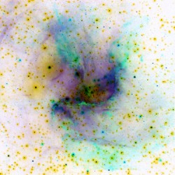 The Beautiful Cosmos