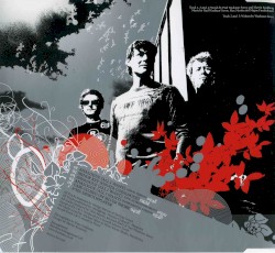 Analogue (All I Want)