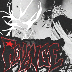 REVENGE