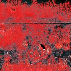 Concrete Winds