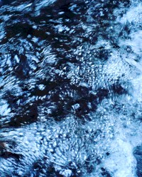 Consideration 1 (From Abandoned Perspective)