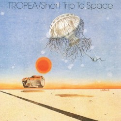 Short Trip To Space