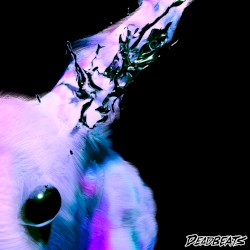 ASCENDiNG THE RABBiT HOLE