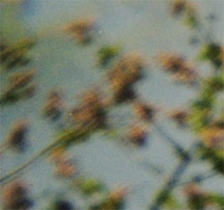 Fundamentals of Orchid Biology