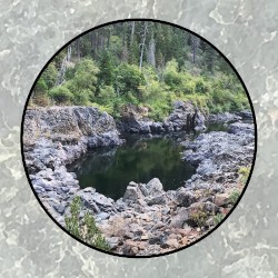 Moonlit Missive #95: 'Serpentine'