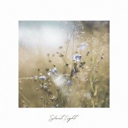 Silent Light