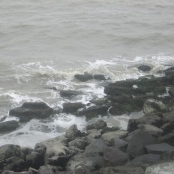 Albany State Marine Reserve