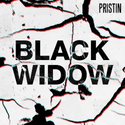 Black Widow (remix version)