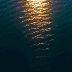 we had to shed our skins when we saw the other sun