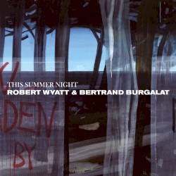 This Summer Night (Hot Chip remix)