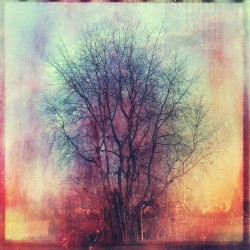 Believe Me (Cahb Remix)