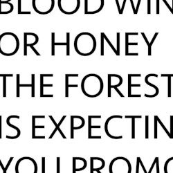 The Forest Is Expecting You