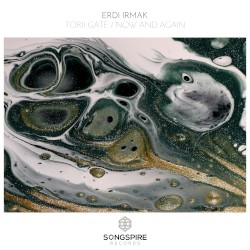 Torii Gate / Now and Again