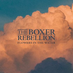 Flowers in the Water