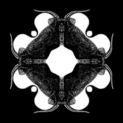 New State of Consciousness