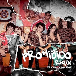 Prohibido (remix)