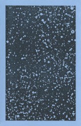 Fragments of Hologram Snow
