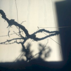 avant session 17 / live at UMBRAL