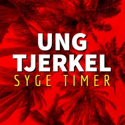 Syge Timer