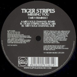 Missing You (Mr. V Remixes)