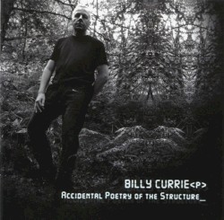 Accidental Poetry of the Structure