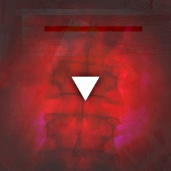 Anatomy In Suspension