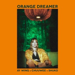 Orange Dreamer