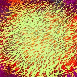 Filterbank Feedback Works 2