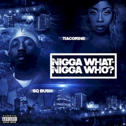 Nigga What, Nigga Who