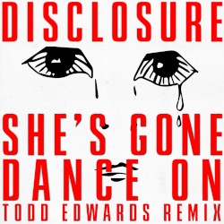 She's Gone, Dance On (Todd Edwards remix)