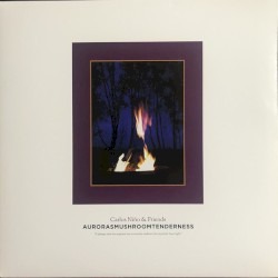 Aurorasmushroomtenderness