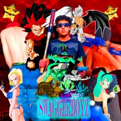 🚫NO TE METAS CON GOKU🚫