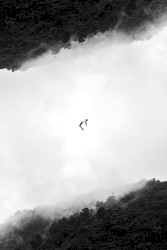 Take Chances in Your Music or Perish: The Aleatoric Solo Piano Masterpieces, Vol. 1