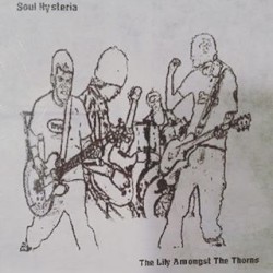 The Lily Amongst the Thorns