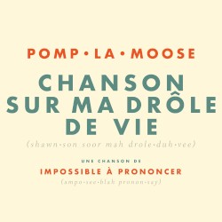 Chanson Sur Ma Drôle De Vie