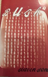 Sixteen Stone